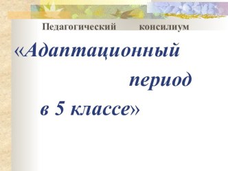 Адаптационный период в 5 классе