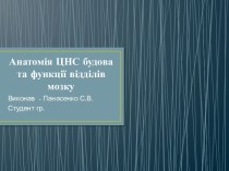 Анатомія ЦНС будова та функції відділів мозку