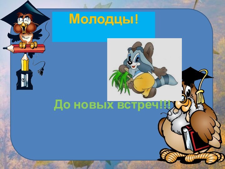 Молодцы! До новых встреч!!!