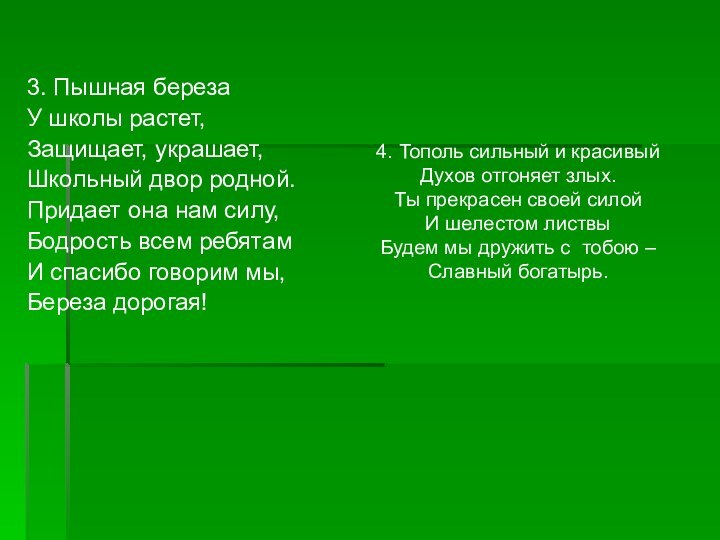 3. Пышная береза У школы растет,Защищает, украшает,Школьный двор родной.Придает она нам силу,