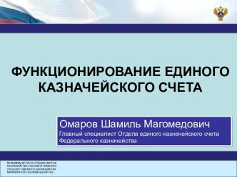 Функционирование единого казначейского счета