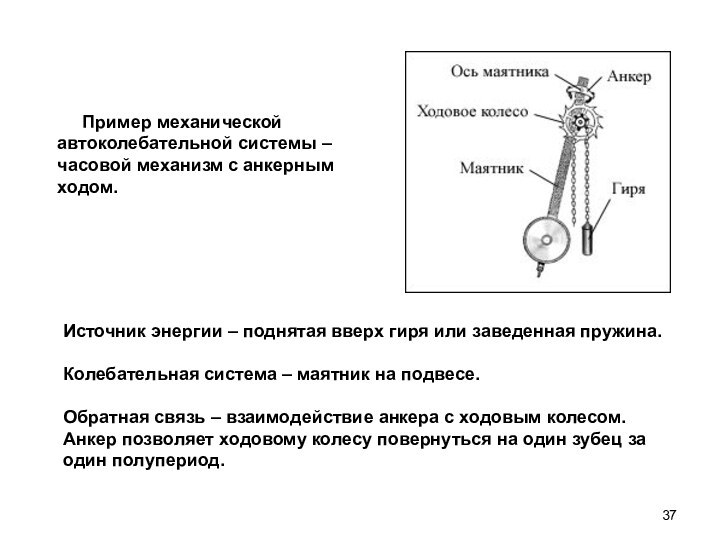 Пример механической автоколебательной системы –  часовой механизм с