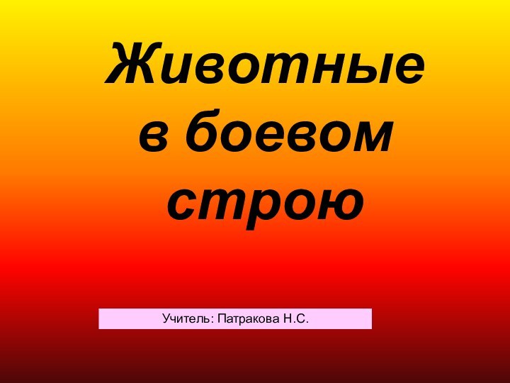 Животные  в боевом строюУчитель: Патракова Н.С.