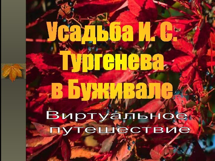 Усадьба И. С. Тургенева в БуживалеВиртуальное путешествие