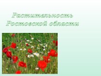Растительность Ростовской области