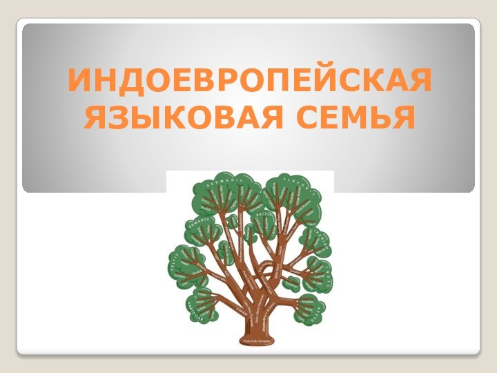 ИНДОЕВРОПЕЙСКАЯ ЯЗЫКОВАЯ СЕМЬЯ