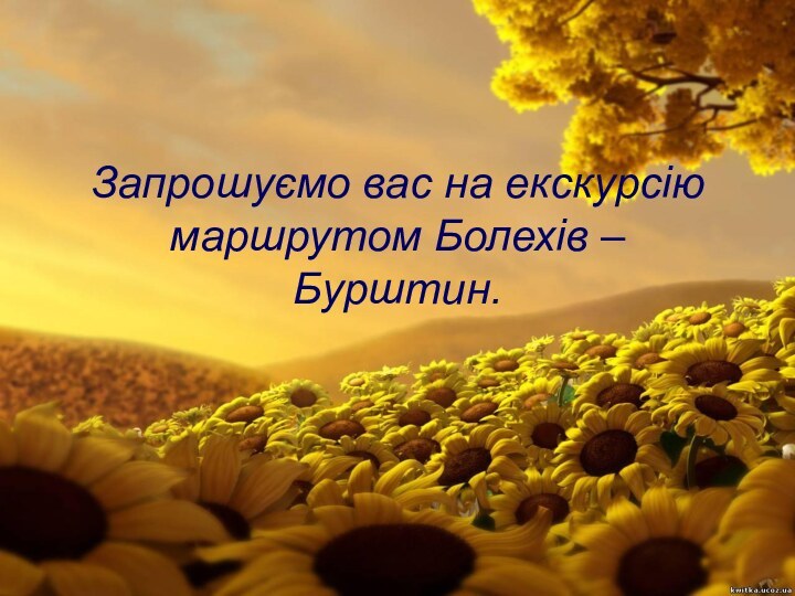 Запрошуємо вас на екскурсію маршрутом Болехів – Бурштин.