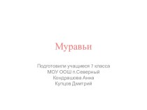 Муравьи