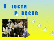 В гости к весне