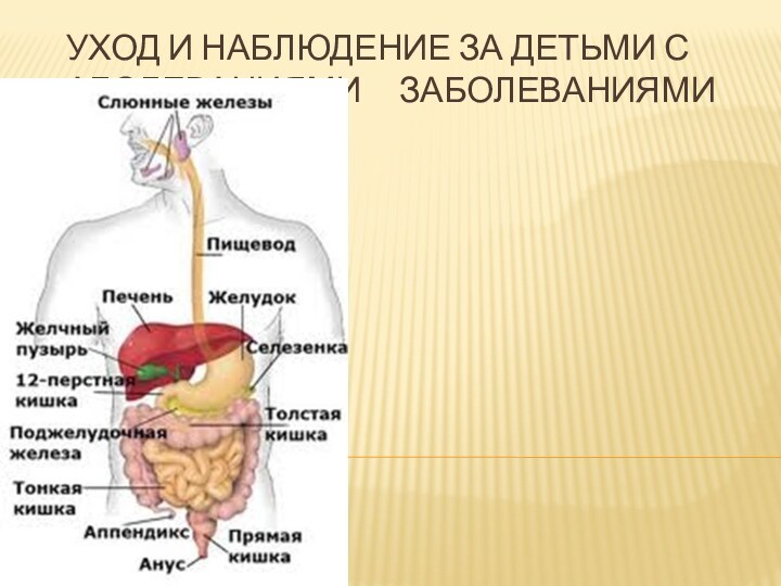 УХОД И НАБЛЮДЕНИЕ ЗА ДЕТЬМИ с