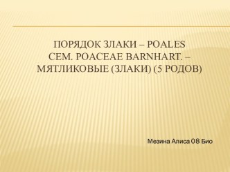 Порядок Злаки – poalesСем. poaceaebarnhart. – Мятликовые (злаки) (5 родов)