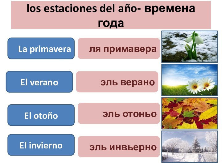 los estaciones del año- времена года La primavera El verano El