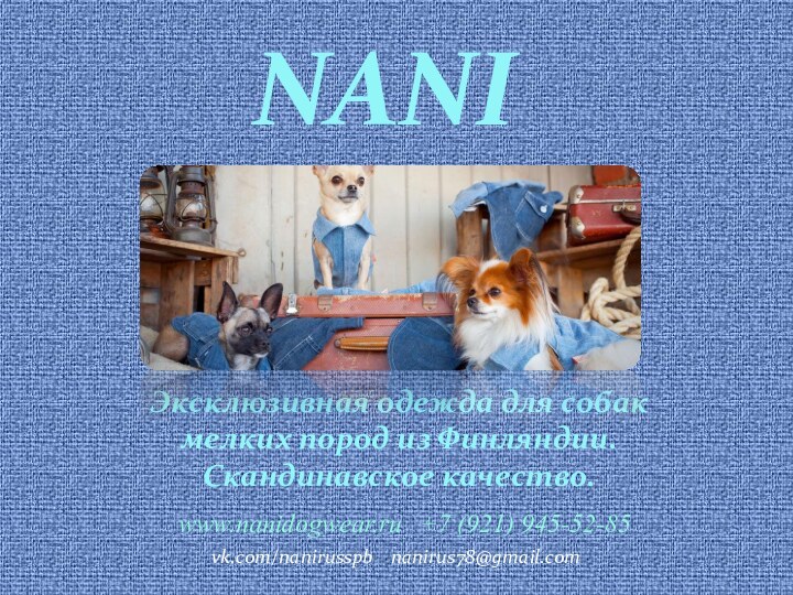 NaNiЭксклюзивная одежда для собак мелких пород из Финляндии. Скандинавское качество.www.nanidogwear.ru  +7