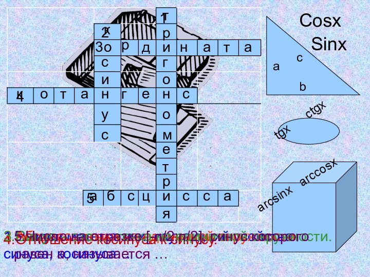 1.Раздел математики, изучающий свойства синуса, косинуса…2.Абсцисса точки на единичной окружности.4.Отношение косинуса к