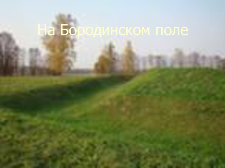 На Бородинском поле