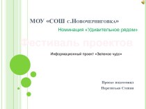 Информационный проект