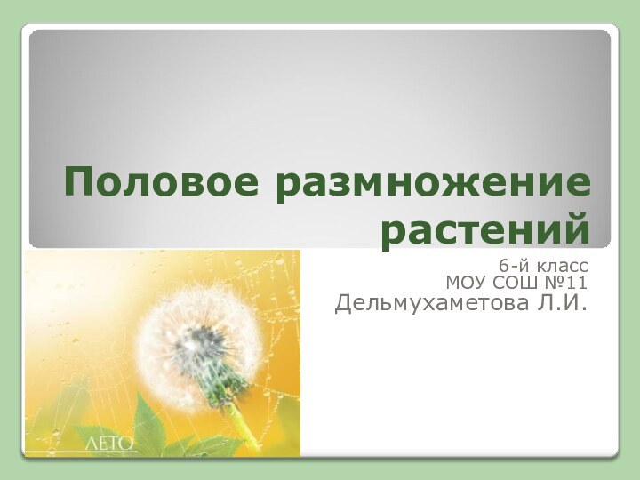 Половое размножение растений6-й классМОУ СОШ №11Дельмухаметова Л.И.