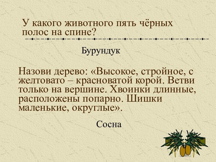 У какого животного пять чёрных полос на спине?БурундукНазови дерево: «Высокое, стройное, с