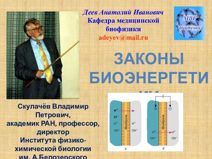 ЗАКОНЫБИОЭНЕРГЕТИКИ Деев Анатолий ИвановичКафедра медицинской биофизикиadeyev@mail.ruСкулачёв Владимир Петрович,академик РАН, профессор,директор Института физико-химической биологииим. А.Белозерского