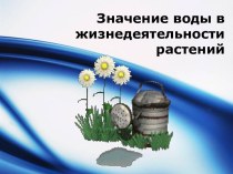 Значение воды в жизнедеятельности растений