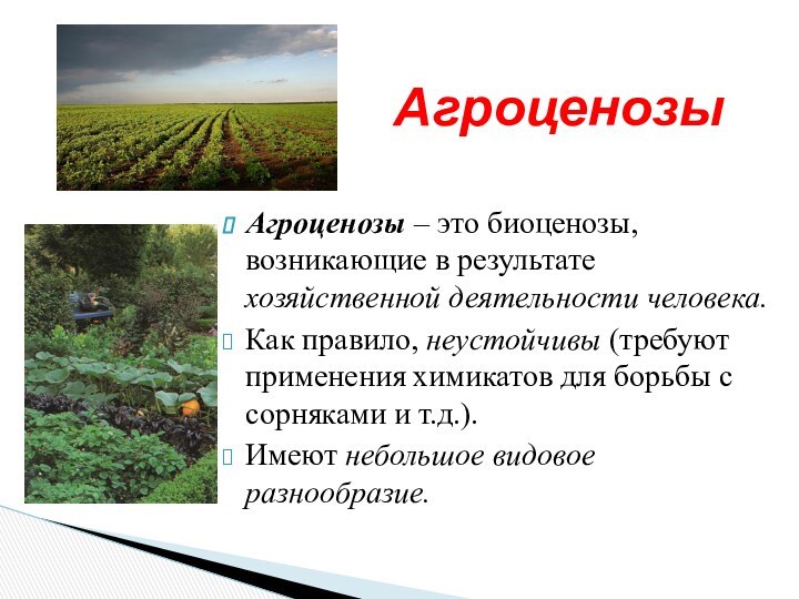 Агроценозы Агроценозы – это биоценозы, возникающие в результате хозяйственной деятельности человека.Как правило,