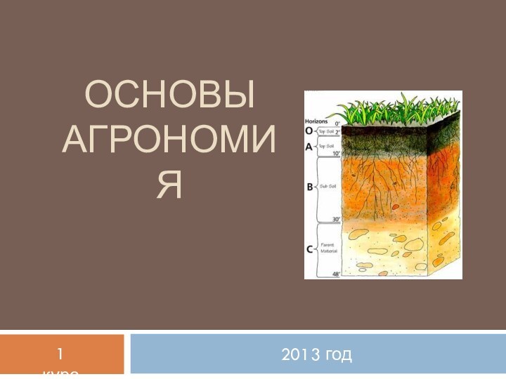 Основы Агрономия2013 год1 курс