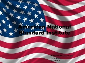 American national standard institute