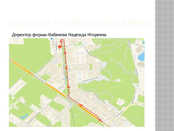 Адреса и руководители фирмыДиректор фирмы-Кабанова Надежда Игоревна