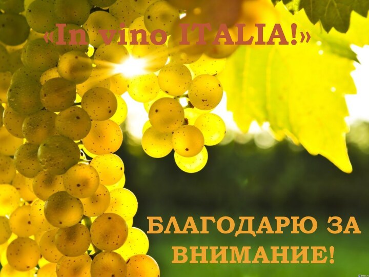 Благодарю за внимание!«In vino ITALIA!»