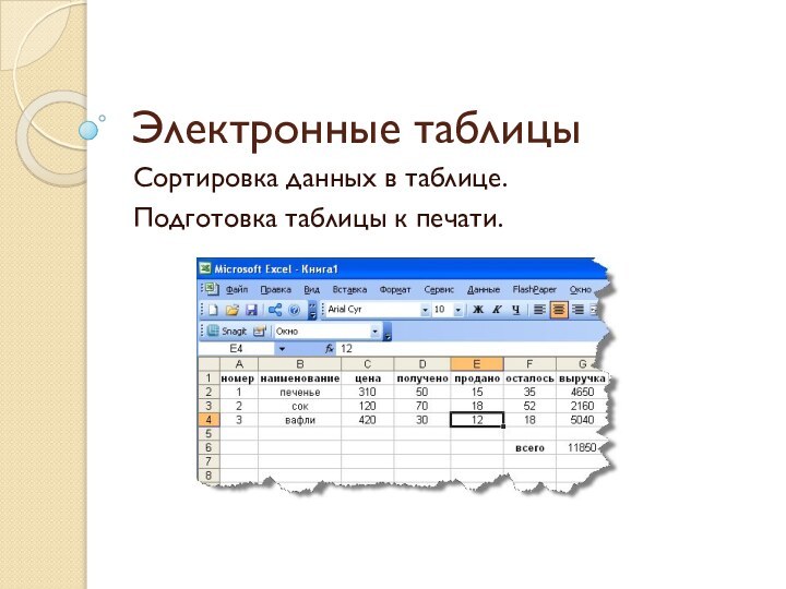 Электронные таблицыСортировка данных в таблице. Подготовка таблицы к печати.