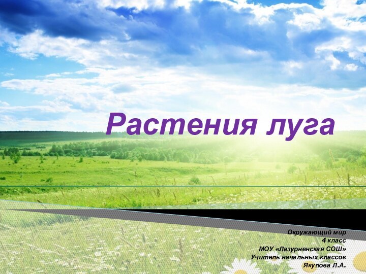 Растения лугаОкружающий мир4 классМОУ «Лазурненская СОШ»Учитель начальных классовЯкупова Л.А.