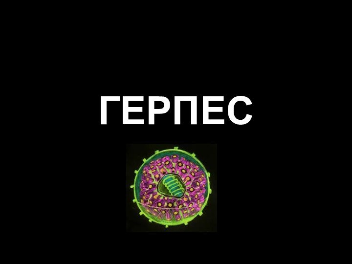 ГЕРПЕС