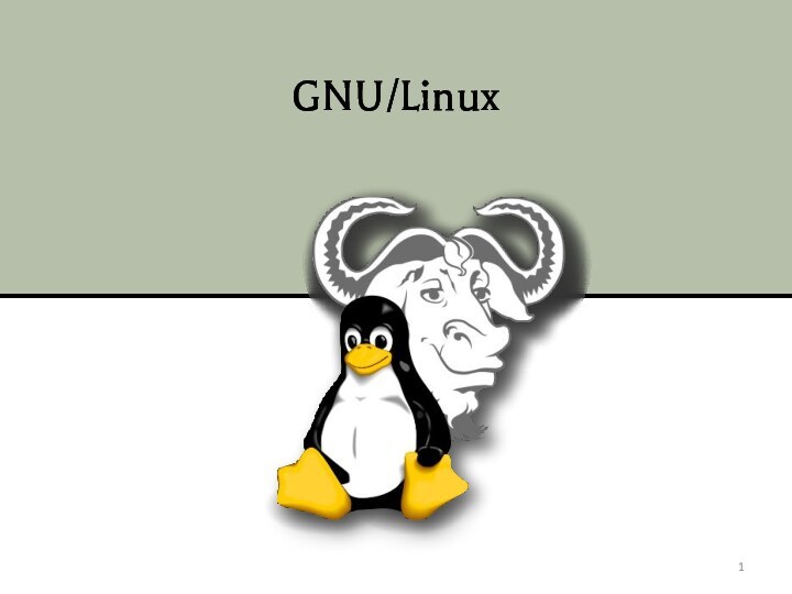 GNU/Linux