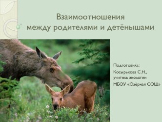 Взаимоотношения между родителями и детёнышами