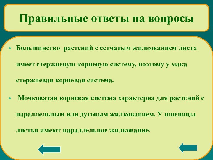 Большинство растений с сетчатым жилкованием листа имеет стержневую корневую систему, поэтому у