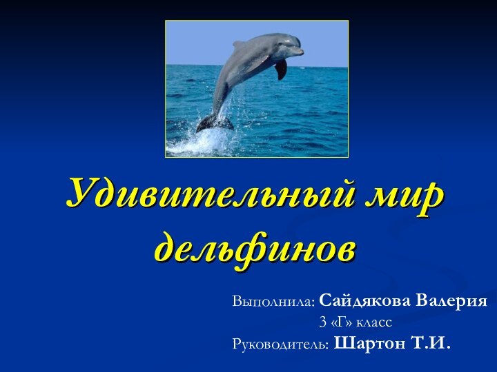 Удивительный мир дельфиновВыполнила: Сайдякова Валерия