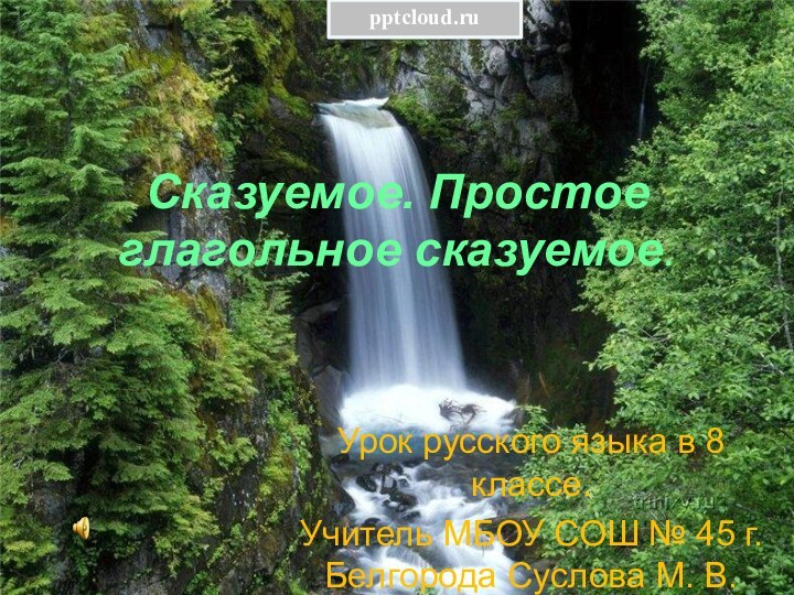 Сказуемое. Простое глагольное сказуемое. Урок русского языка в 8 классе.Учитель МБОУ СОШ