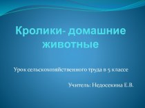 Кролики - домашние животные