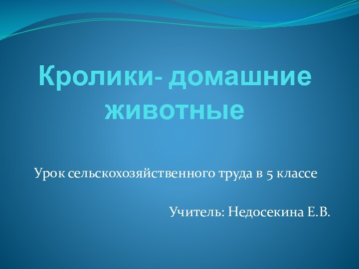 Кролики- домашние животныеУрок сельскохозяйственного труда в 5 классеУчитель: Недосекина Е.В.