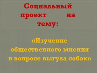 Изучение общественного мнения в вопросе выгула собак