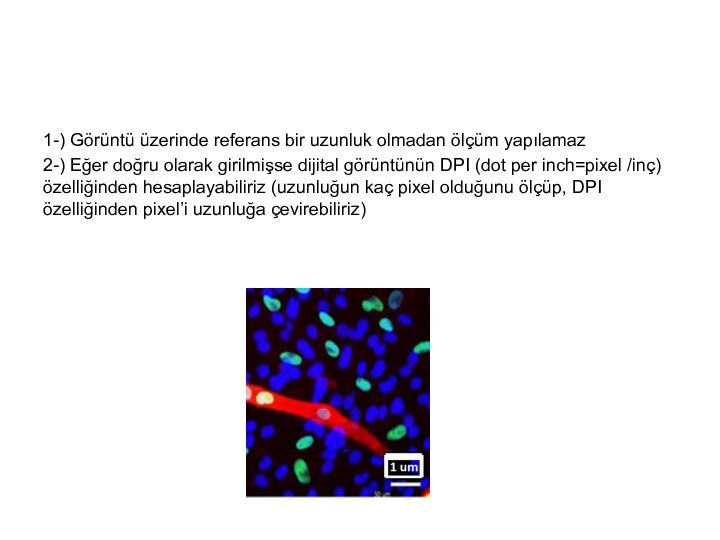 1-) Görüntü üzerinde referans bir uzunluk olmadan ölçüm yapılamaz2-) Eğer doğru olarak