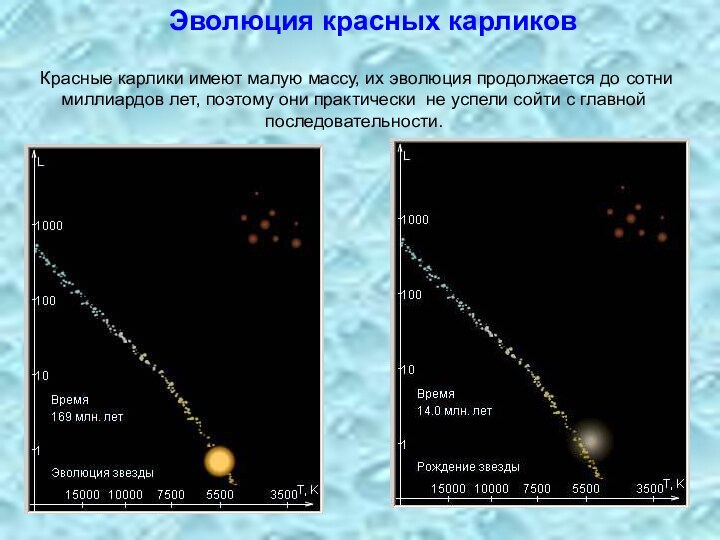 Красные карлики имеют малую массу, их эволюция продолжается до сотни миллиардов лет,