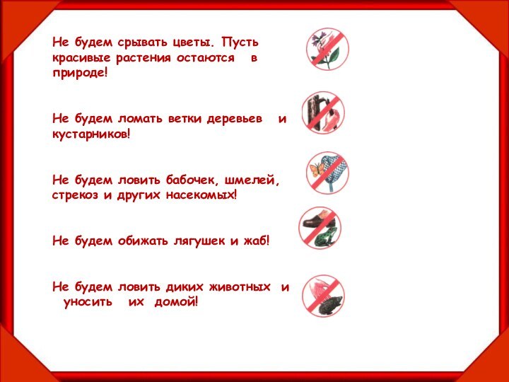 Не будем срывать цветы. Пусть красивые растения остаются  в природе!Не будем