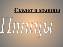 Скелет и мышцы птицы