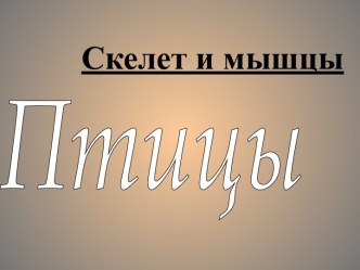 Скелет и мышцы птицы