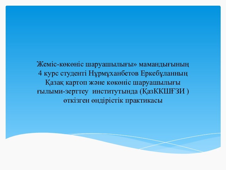 Жеміс-көкөніс шаруашылығы» мамандығының 4 курс студенті Нұрмұханбетов Еркебұланның Қазақ картоп және көкөніс