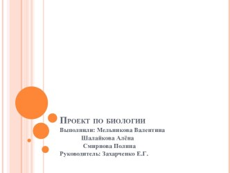 Михаил Васильевич Ломоносов (1711-1765)