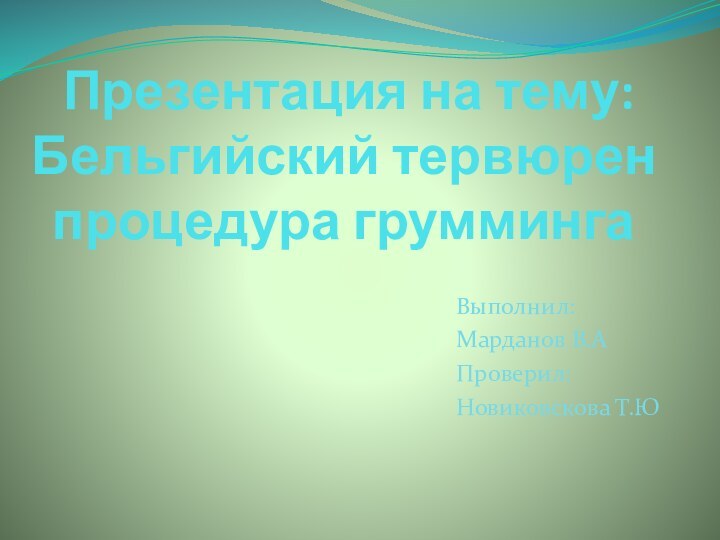 Презентация на тему:Бельгийский тервюрен процедура грумминга