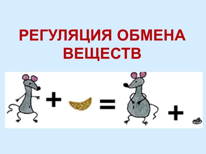 РЕГУЛЯЦИЯ ОБМЕНА ВЕЩЕСТВ