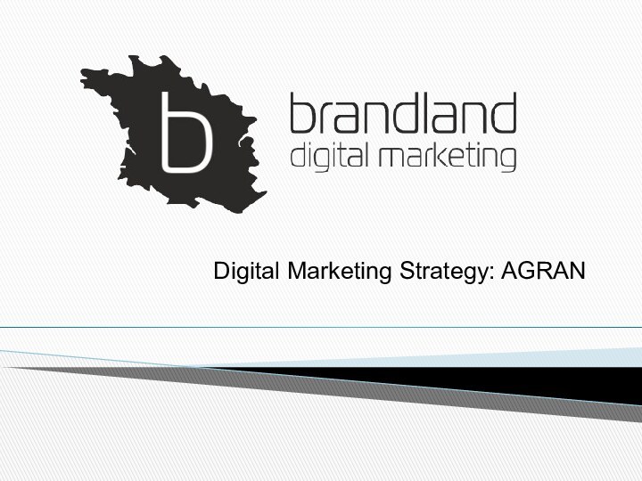 Digital Marketing Strategy: AGRAN